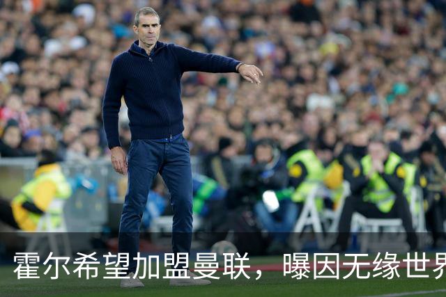 霍尔希望加盟曼联，曝因无缘世界杯与纽卡闹翻！转会费至少5000万